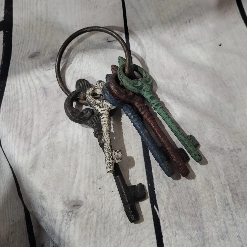 Vintage Style Multicolor Cast Iron Key Wall Decor
